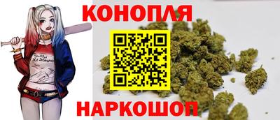шишки Ирбит