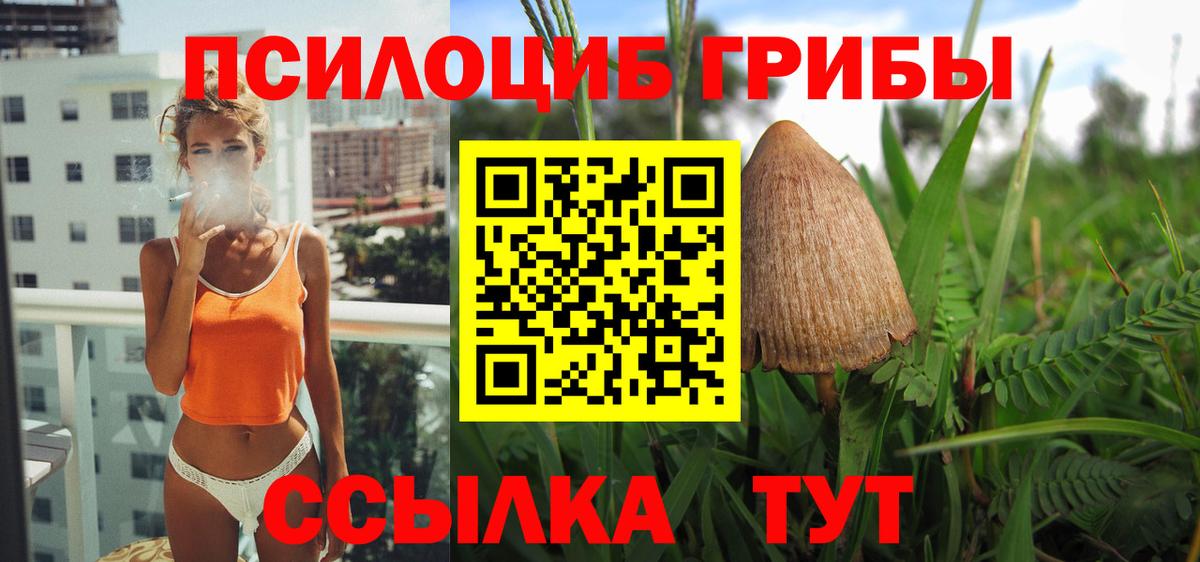 Псилоцибиновые грибы ЛСД  Вход с VPN  Вологда 